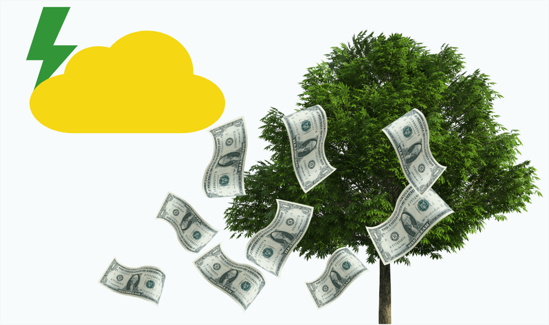What If You Could Grow Money On A Tree!